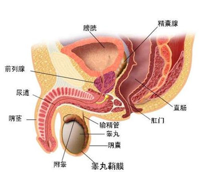急性上呼吸道感染是诺如病毒吗 13862976355300.jpg