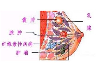 1400121505864.jpg
