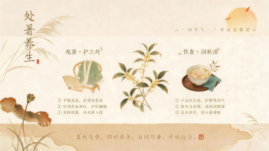 处暑养生海报 高清(1).jpg